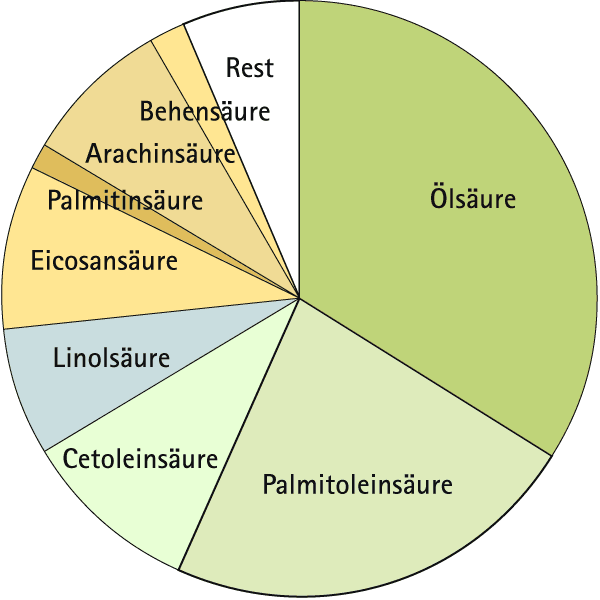 Fetts&auml;urespektrum von Avellana&ouml;l