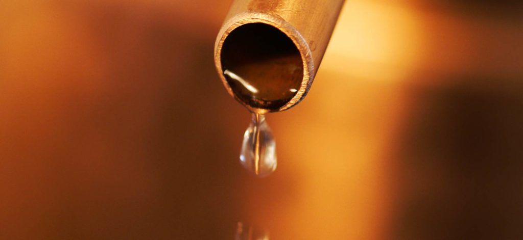 Aus der Destille tropfendes Hydrolat