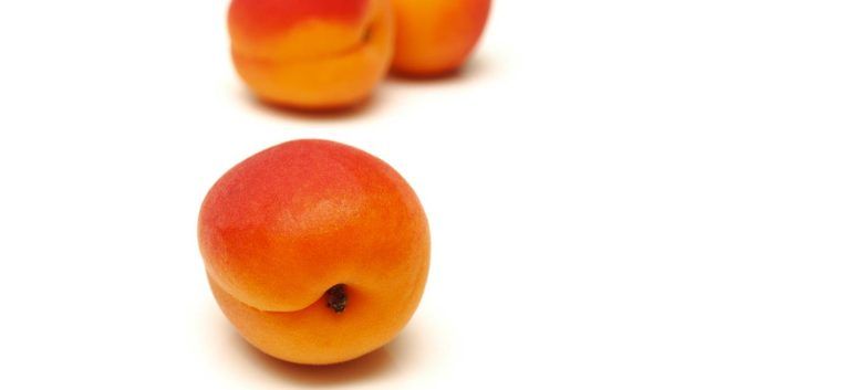 Aprikosen auf weißem Untergrund