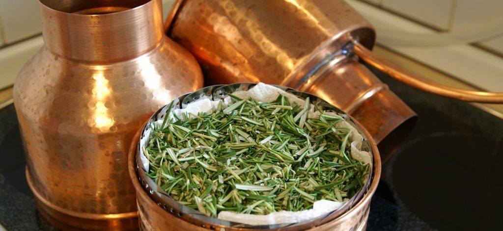 Geschnittener frischer Rosmarin vor der Destillation im Aromakorb