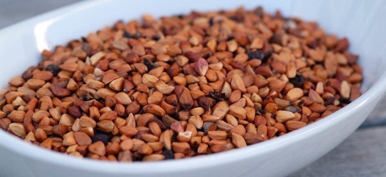 Hagebuttenkerne (Wildrosensamen)