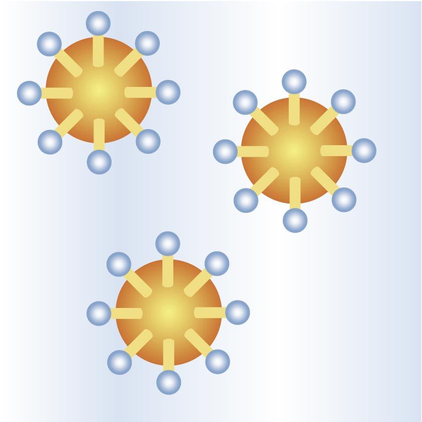 Innere Phase einer O/W-Emulsion: Kleine Öltröpfchen in Wasser