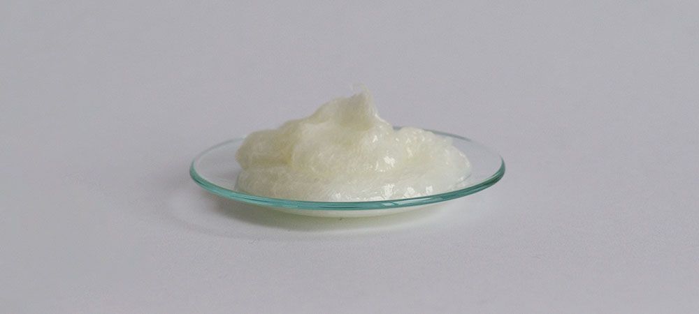 Sucrose Cocoate
