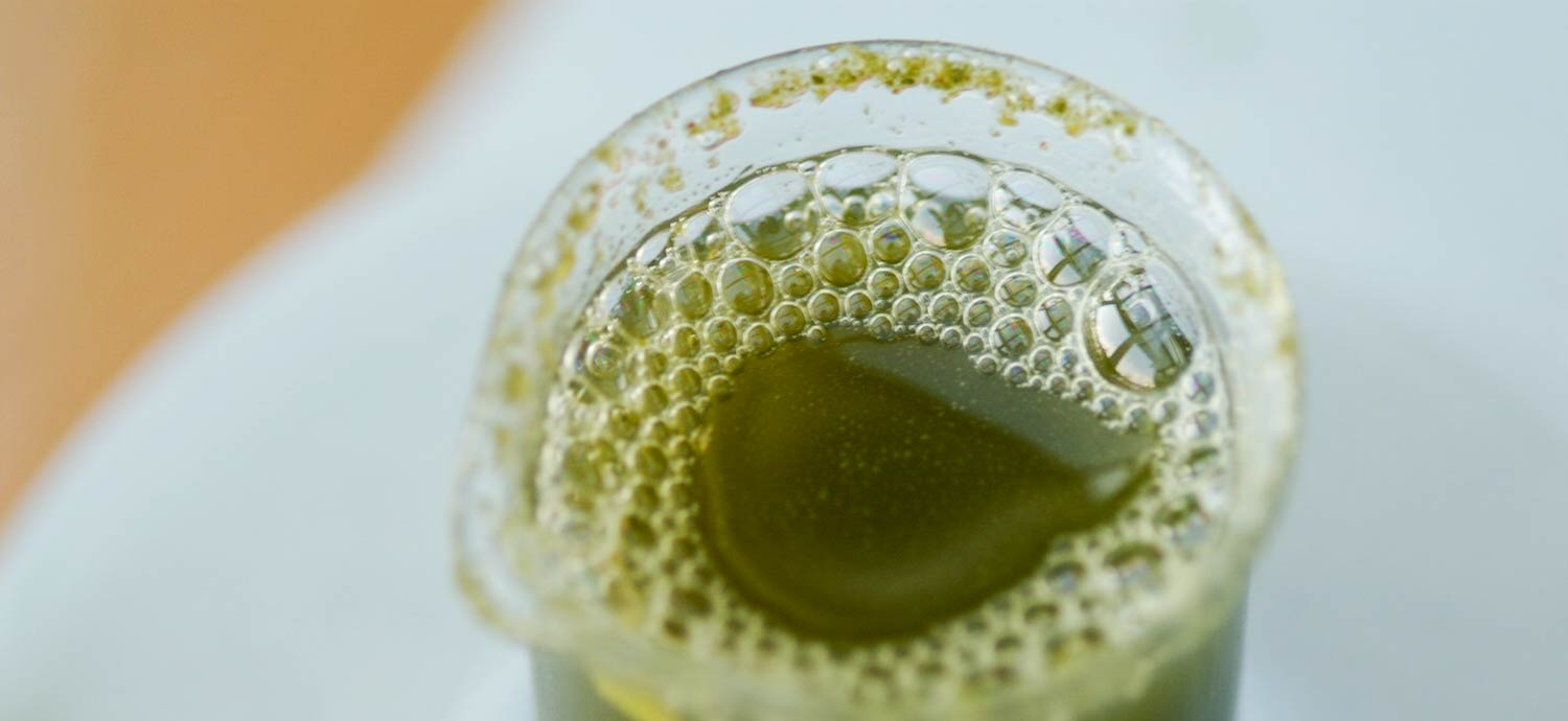 Turboextrakt von Olivenblättern, mit Schwebstoffen durchsetzt