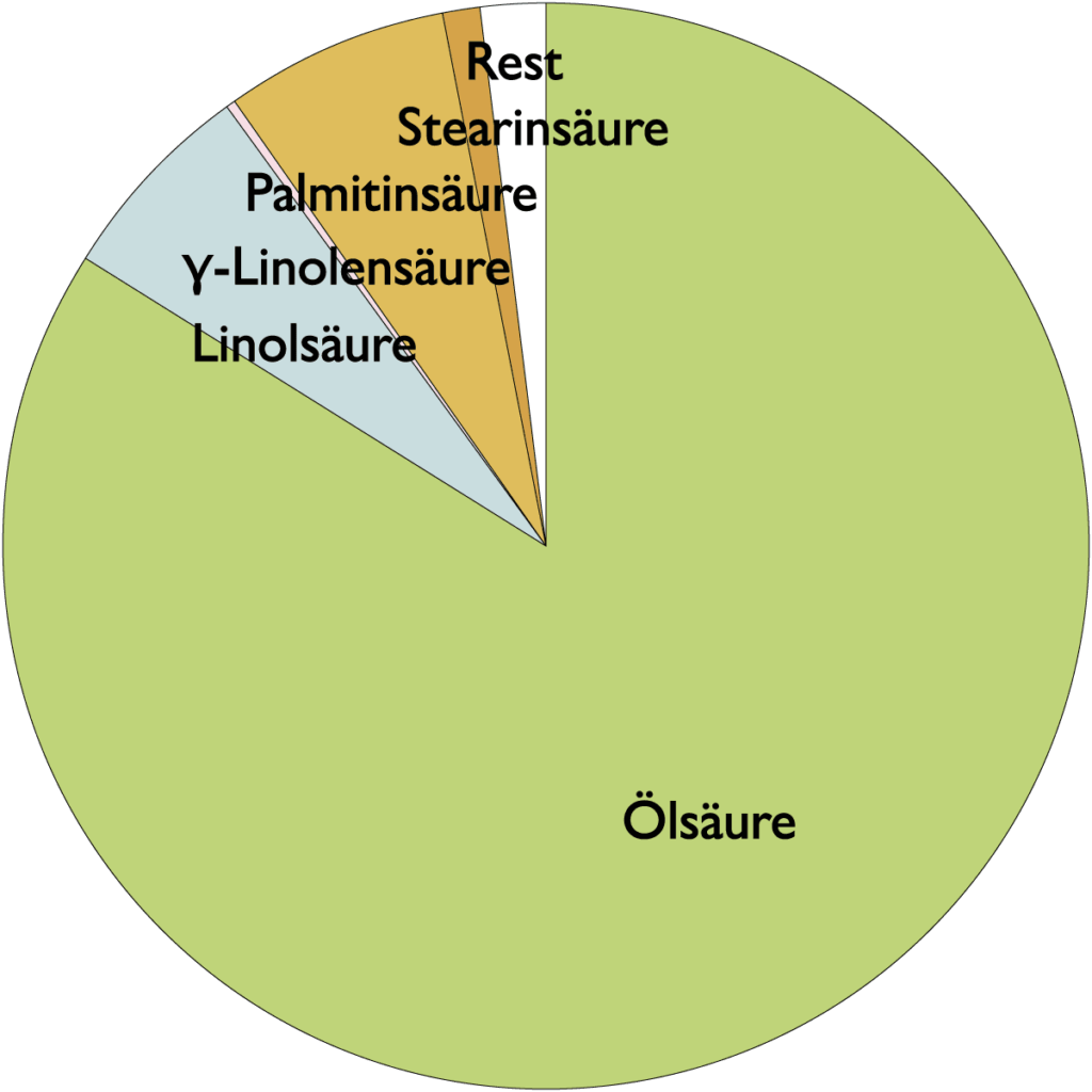 Fettsäurespektrum Kameliensamenöl