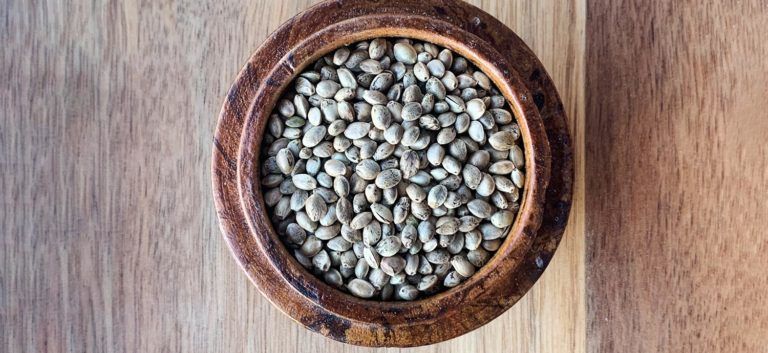 Ungeschälte Hanfsamen