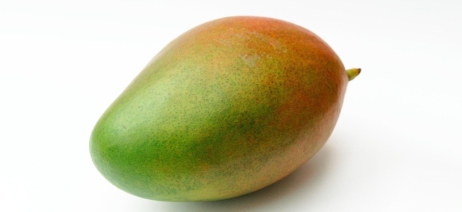 Frische Mangofrucht