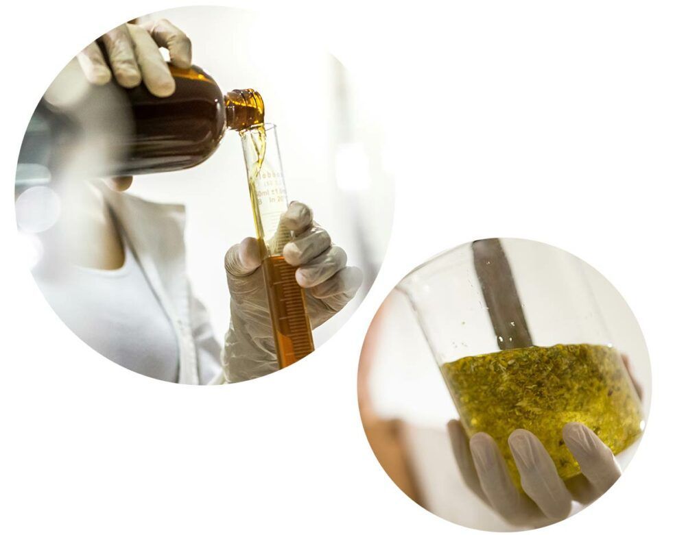 Bildcollage: Frau im Laborkittel füllt eine Flüssigkeit in ein Reagenzglas, daneben ein Becherglas mit zerkleinerten Kamilleblüten in Öl